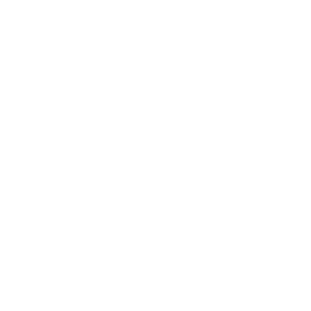 logo vidya branco